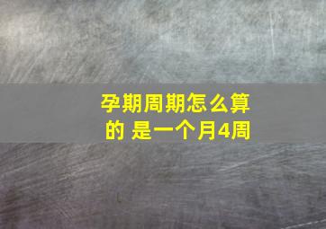 孕期周期怎么算的 是一个月4周